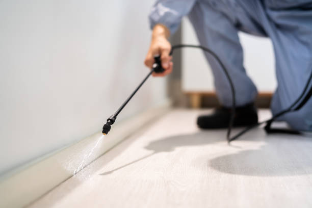 Licensed Rodent Control service in Muscatine County County, IA - Nex Pest Control