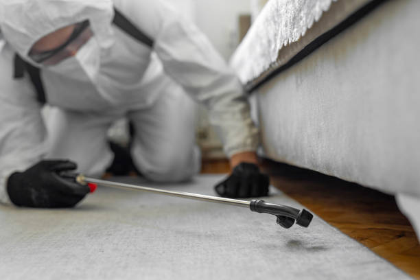 Professional Rodent Control technician working in Muscatine County County, IA
